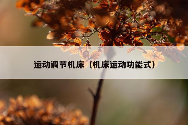运动调节机床（机床运动功能式）