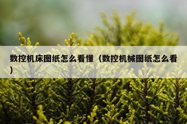数控机床图纸怎么看懂（数控机械图纸怎么看）
