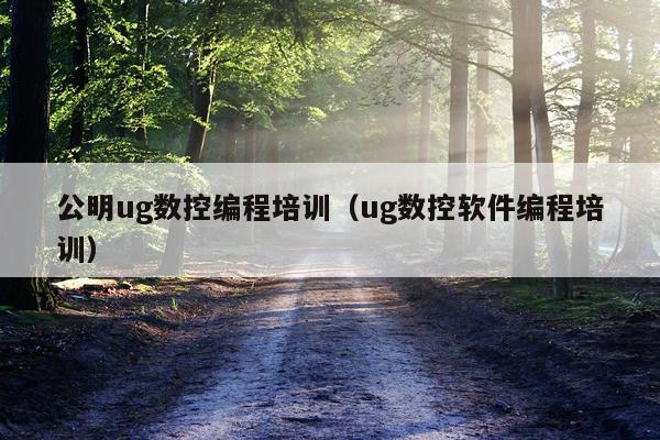 公明ug数控编程培训（ug数控软件编程培训）