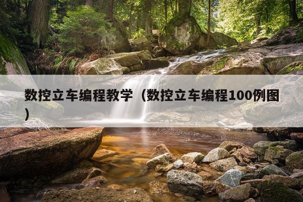数控立车编程教学（数控立车编程100例图）