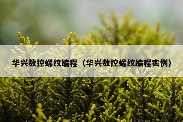 华兴数控螺纹编程（华兴数控螺纹编程实例）