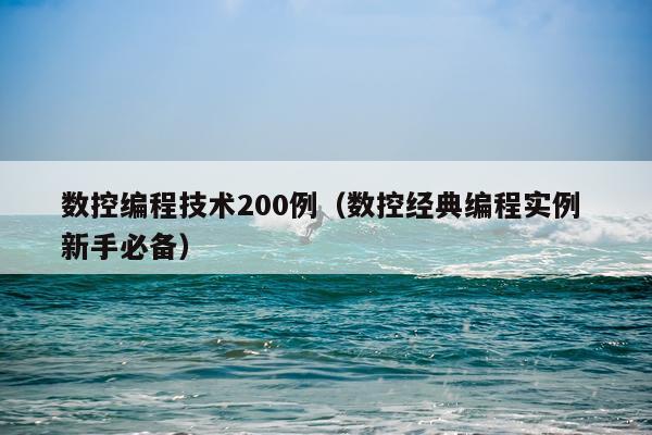 数控编程技术200例（数控经典编程实例 新手必备）