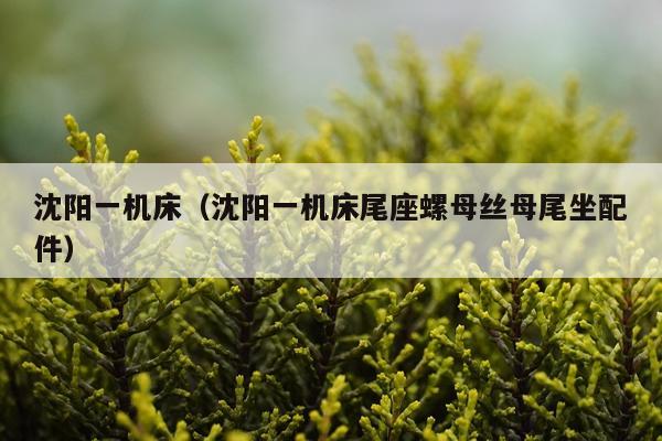 沈阳一机床(沈阳一机床尾座螺母丝母尾坐配件)