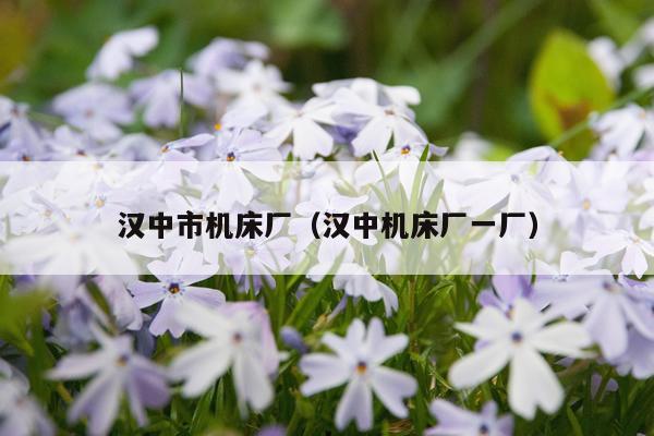 汉中市机床厂(汉中机床厂一厂)