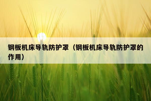 钢板机床导轨防护罩(钢板机床导轨防护罩的作用)