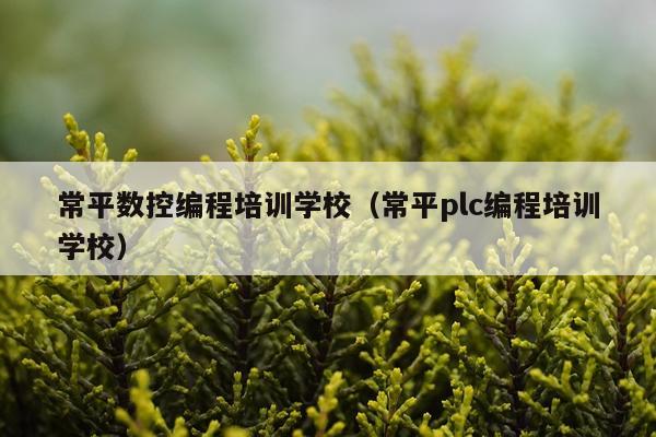 常平数控编程培训学校（常平plc编程培训学校）