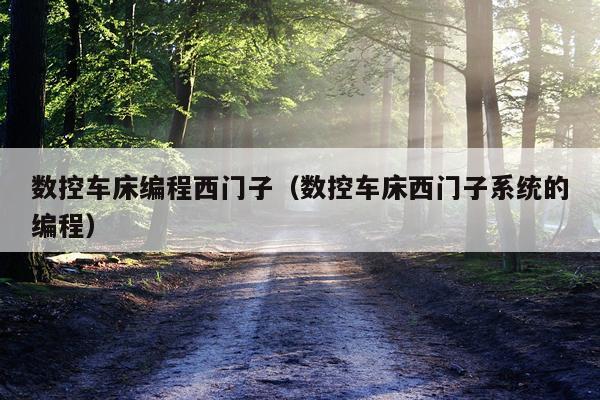 数控车床编程西门子（数控车床西门子系统的编程）