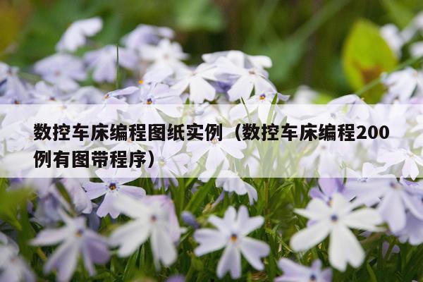 数控车床编程图纸实例（数控车床编程200例有图带程序）