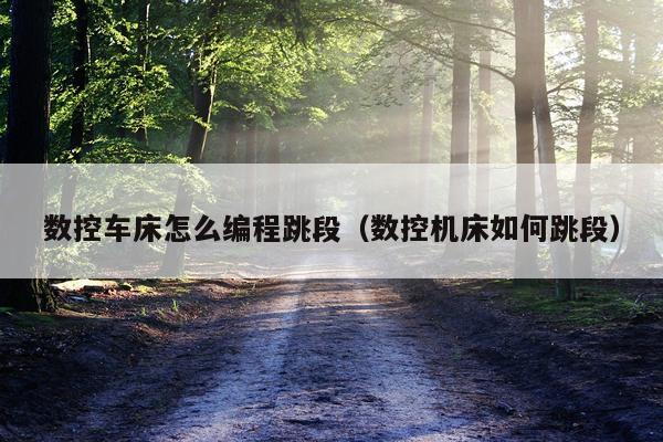 数控车床怎么编程跳段（数控机床如何跳段）