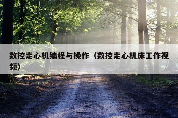 数控走心机编程与操作（数控走心机床工作视频）