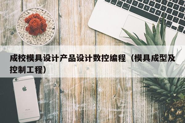 成校模具设计产品设计数控编程（模具成型及控制工程）