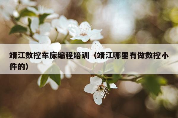 靖江数控车床编程培训（靖江哪里有做数控小件的）