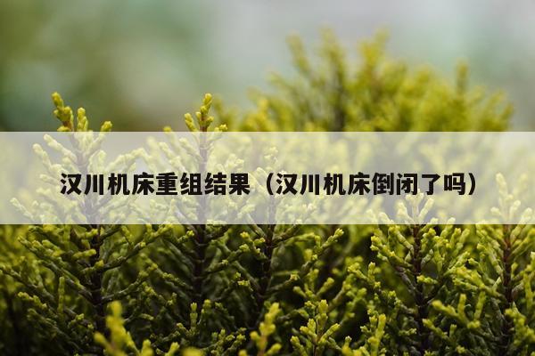 汉川机床重组结果（汉川机床倒闭了吗）