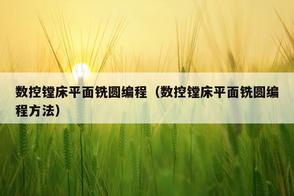 数控镗床平面铣圆编程（数控镗床平面铣圆编程方法）