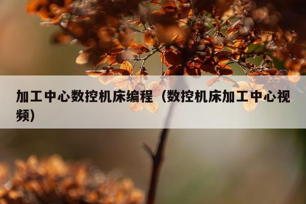 加工中心数控机床编程（数控机床加工中心视频）