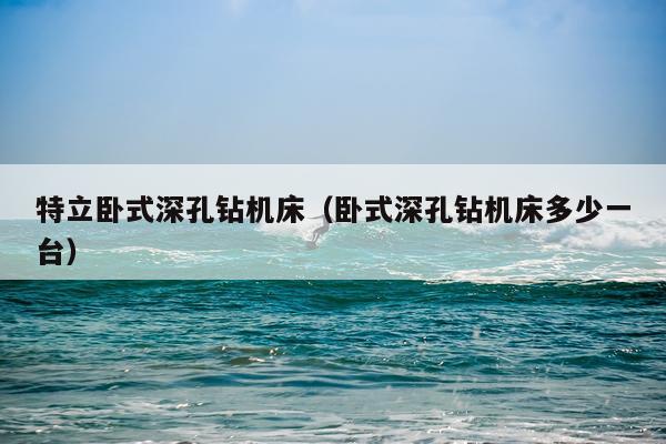 特立卧式深孔钻机床(卧式深孔钻机床多少一台)