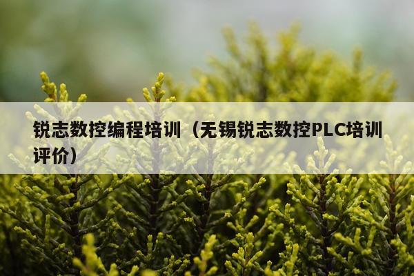 锐志数控编程培训（无锡锐志数控PLC培训评价）
