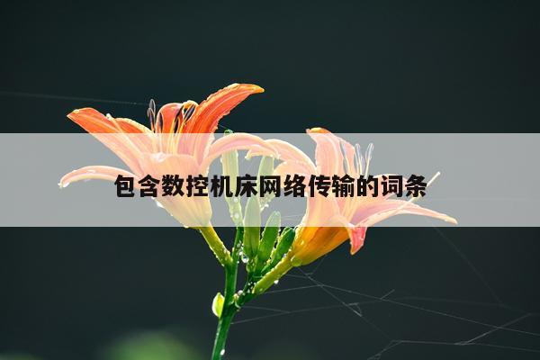 包含数控机床网络传输的词条