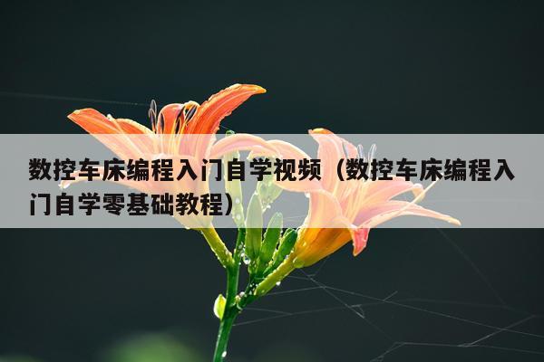 数控车床编程入门自学视频(数控车床编程入门自学零基础教程)