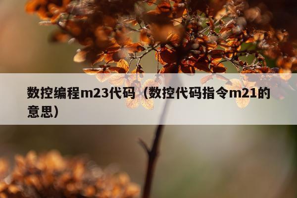 数控编程m23代码(数控代码指令m21的意思)