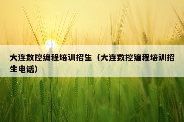 大连数控编程培训招生(大连数控编程培训招生电话)