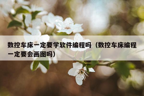 数控车床一定要学软件编程吗(数控车床编程一定要会画图吗)