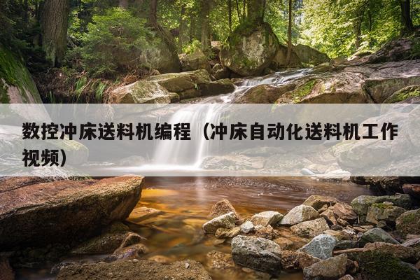 数控冲床送料机编程(冲床自动化送料机工作视频)