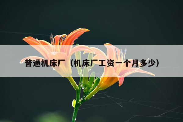 普通机床厂（机床厂工资一个月多少）