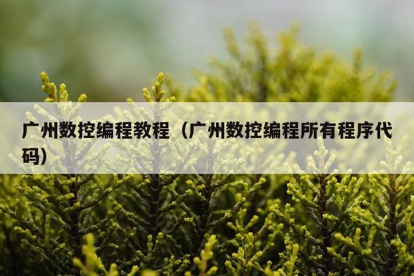 广州数控编程教程（广州数控编程所有程序代码）