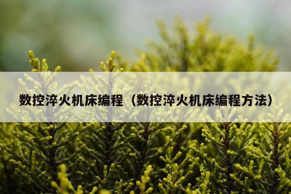 数控淬火机床编程（数控淬火机床编程方法）