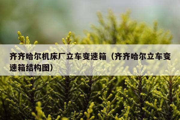 齐齐哈尔机床厂立车变速箱（齐齐哈尔立车变速箱结构图）