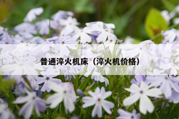 普通淬火机床（淬火机价格）