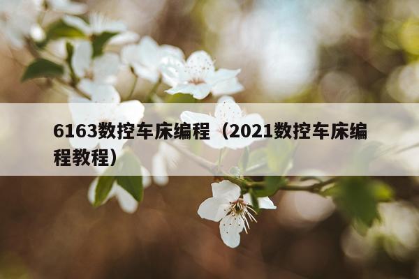 6163数控车床编程（2021数控车床编程教程）