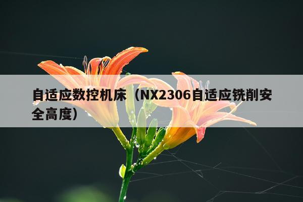 自适应数控机床（NX2306自适应铣削安全高度）