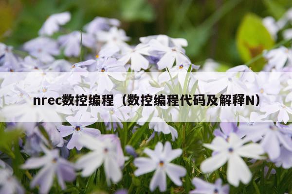 nrec数控编程（数控编程代码及解释N）