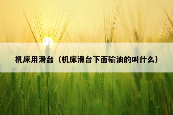 机床用滑台（机床滑台下面输油的叫什么）