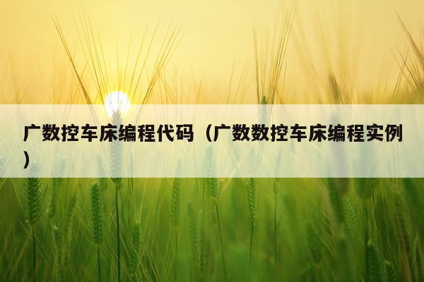 广数控车床编程代码（广数数控车床编程实例）