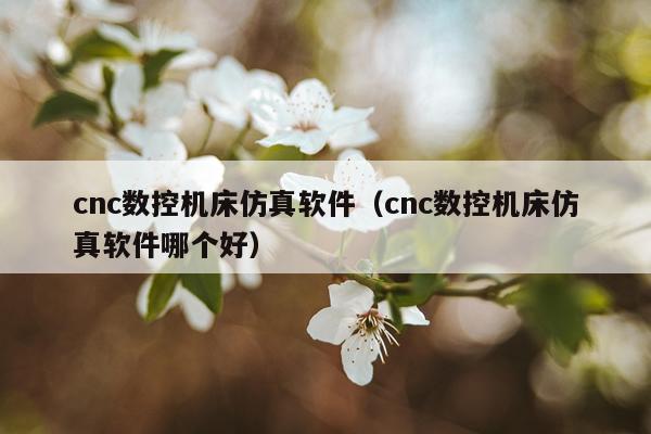 cnc数控机床仿真软件(cnc数控机床仿真软件哪个好)