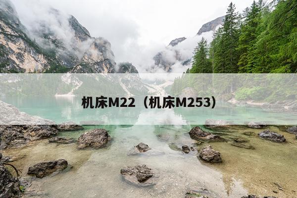 机床M22（机床M253）