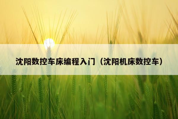 沈阳数控车床编程入门（沈阳机床数控车）