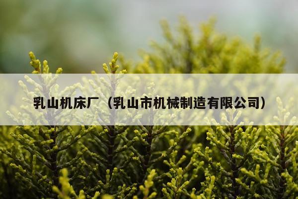 乳山机床厂（乳山市机械制造有限公司）