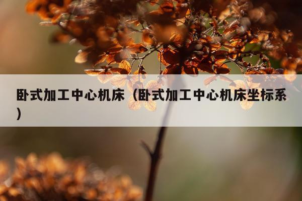 卧式加工中心机床（卧式加工中心机床坐标系）