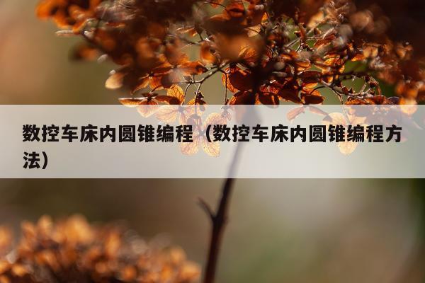 数控车床内圆锥编程（数控车床内圆锥编程方法）