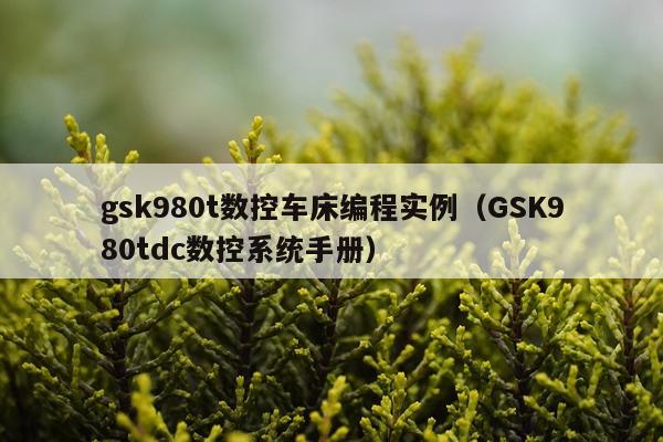 gsk980t数控车床编程实例（GSK980tdc数控系统手册）