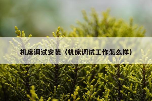机床调试安装（机床调试工作怎么样）