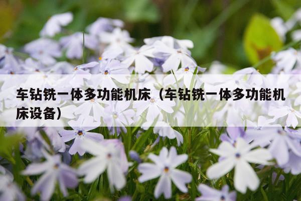 车钻铣一体多功能机床（车钻铣一体多功能机床设备）