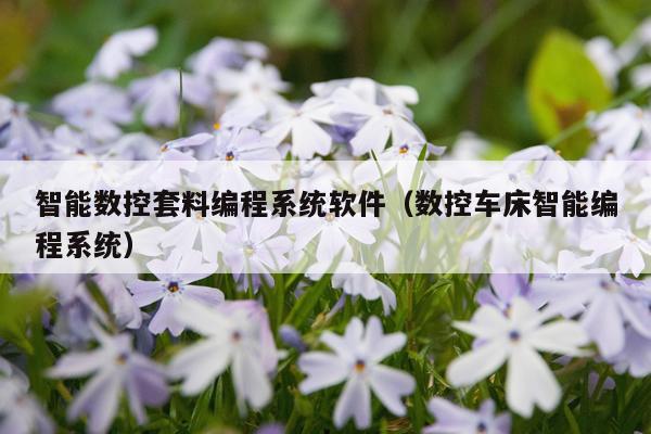 智能数控套料编程系统软件（数控车床智能编程系统）