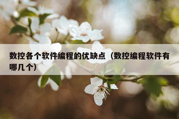 数控各个软件编程的优缺点（数控编程软件有哪几个）