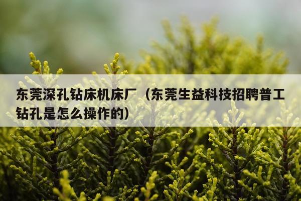 东莞深孔钻床机床厂（东莞生益科技招聘普工钻孔是怎么操作的）