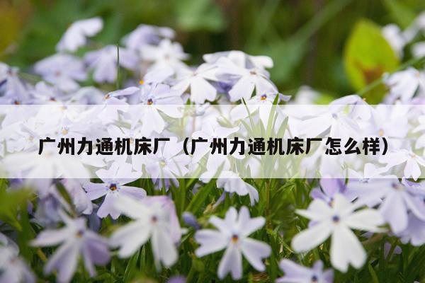 广州力通机床厂（广州力通机床厂怎么样）